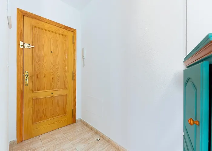 公寓 Panorama 2 托雷维耶哈